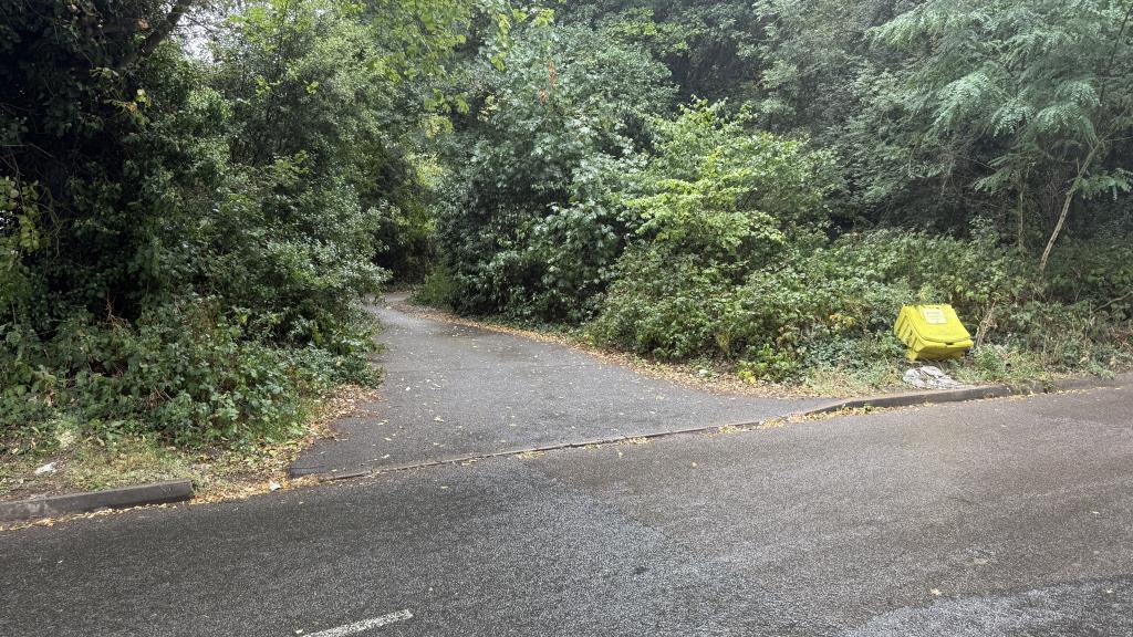 Lot: 2 - APPROXIMATELY FIVE ACRES OF WOODLAND - Outside image of woods with road access point